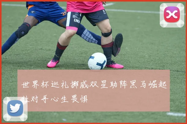 世界杯巡礼挪威双星助阵黑马崛起让对手心生畏惧