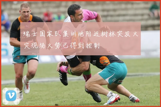 瑞士国家队集训地附近树林突发火灾现场火势已得到控制